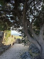 Affittacamere Belvedere - Posada