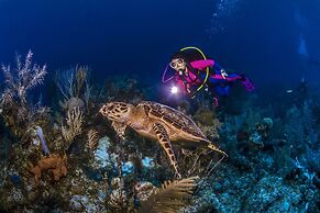 Cocoplum 10 in George Town