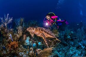 George Town Villas 118