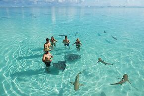 Moorea - The Serenity Creek spa