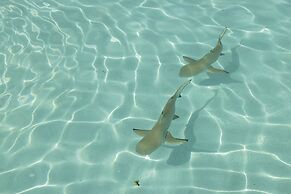 Moorea - The Serenity Creek spa