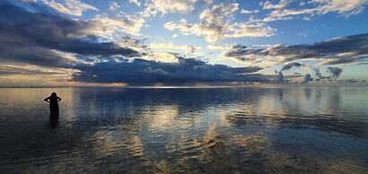 Moorea - Tropical Moana Cottage