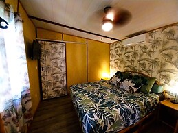 Moorea - Tropical Nest