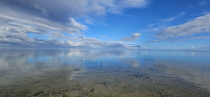 Moorea - Tropical Nest