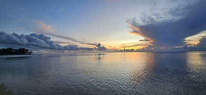 Moorea - Tropical Nest