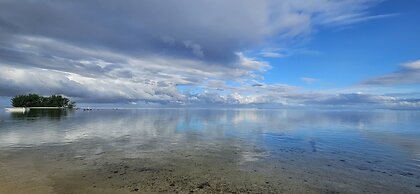 Moorea - Tropical Nest
