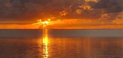 Moorea - Tropical Nest