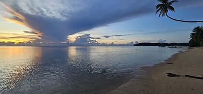 Moorea - Tropical Nest