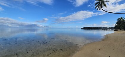 Moorea - Tropical Nest