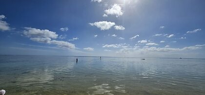 Moorea - Tropical Nest