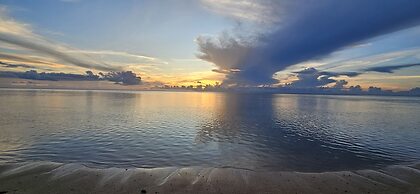 Moorea - Tropical Nest