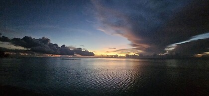 Moorea - Tropical Nest
