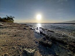 Moorea - O Motu in Temae