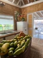 Tahiti - Fare Vainato Beach