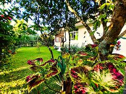 Tahiti - Haumaru Beach Fare