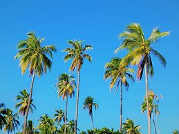 Moorea - Toatea Beach Piti