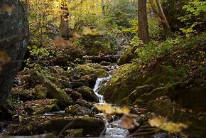 Rejuvenate in the Mtns w Sauna 5 min Drive to DT