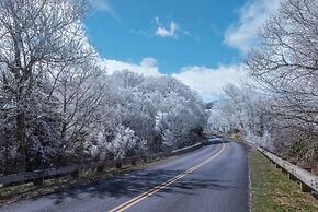 Rejuvenate in the Mtns w Sauna 5 min Drive to DT