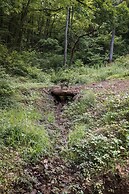 Tiny Home Getaway 15 min Drive to DT w Hot Tub