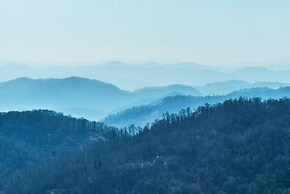 Historic Log Cabin Quiet Return to Simpler Days