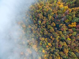 Historic Log Cabin Quiet Return to Simpler Days