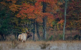 Historic Log Cabin Quiet Return to Simpler Days