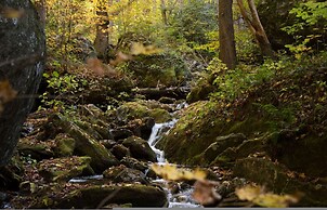 Historic Log Cabin Quiet Return to Simpler Days