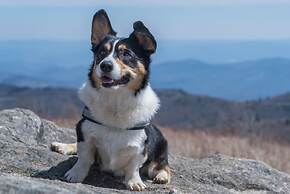 Modern Tiny Home 15 Minute Drive to DT w Hot Tub