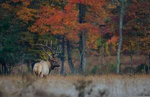 Modern Tiny Home 15 Minute Drive to DT w Hot Tub