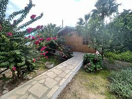 Cyprus Glamping Park