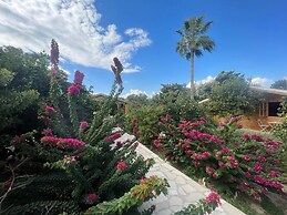 Cyprus Glamping Park