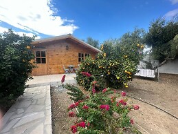 Cyprus Glamping Park