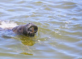 139 Ocean Estates Dr