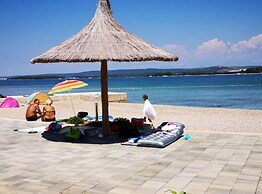 Eco Feng Shui Apartment With a View