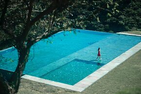 LuxWild Jilai - Shitang Branch