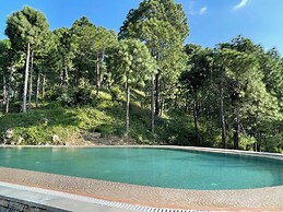 Amaya Kasauli