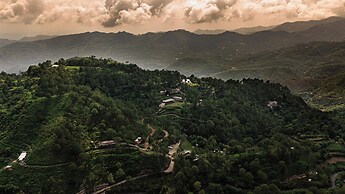 Amaya Kasauli