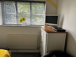 Amber House