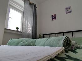 Apartment Leo Povile