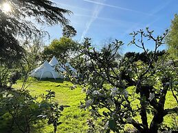 Luxury Glamping The Wye Valley for 2 to 6 Guests