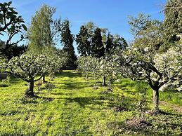 Luxury Glamping The Wye Valley for 2 to 6 Guests