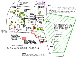 Cherry at Buckland Court