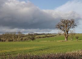 Lodge in Thirsk With Scenic Trails & Spa