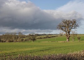 Apartment in Thirsk With Spa & Scenic Views