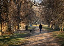 Cottage in Northumberland With Riverside Walk