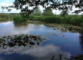 Cottage in Northumberland With Riverside Walk