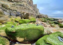 Cottage in Whitby Near Scenic Seafront