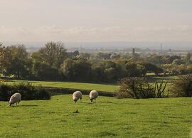 Lodge in Thirsk With Spa & Scenic Trails
