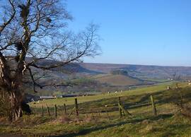 Lodge in Thirsk With Spa & Scenic Trails