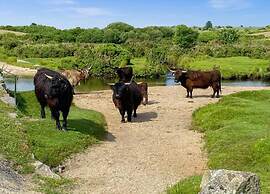 Cottage in Cornwall Near Bodmin Moor
